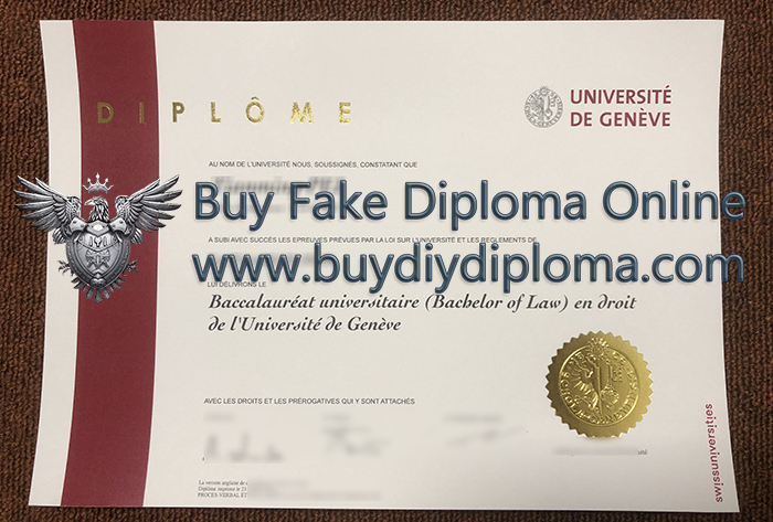 Université de Genève bachelor's Qualification