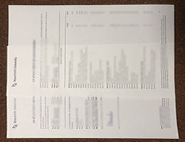 Universiteit Maastricht Academic record