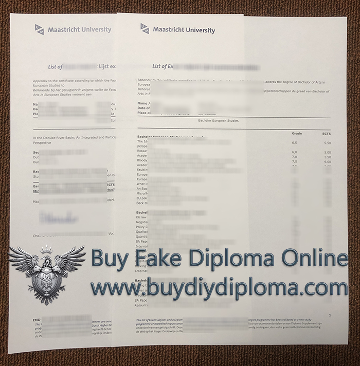 Universiteit Maastricht Academic record