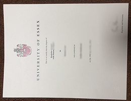 University of Essex Bachelor of Laws Qualification sample