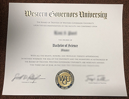 WGU BSc Qualification