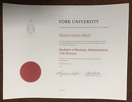 York University BBA DegreeYork University BBA Qualification