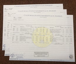 Cal State LA Academic record