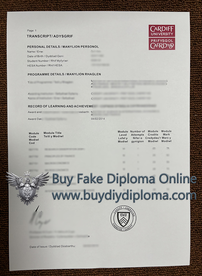 Cardiff University Academic record