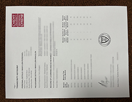 Cardiff University Academic record sample