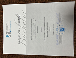 Hochschule Koblenz Urkunde sample