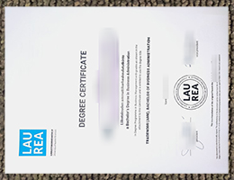 Laurea-ammattikorkeakoulu Qualification