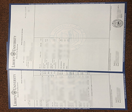 Liberty University Academic record sample