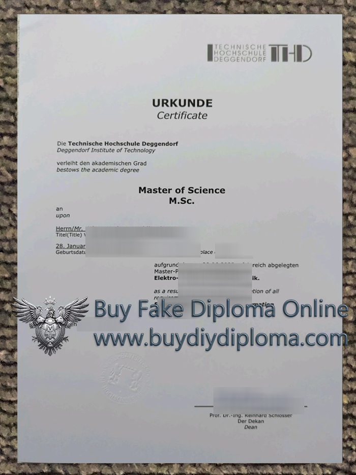 Technische Hochschule Deggendorf Urkunde