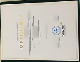 Turun ammattikorkeakoulu Qualification sample