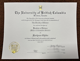 UBC BSc Qualification