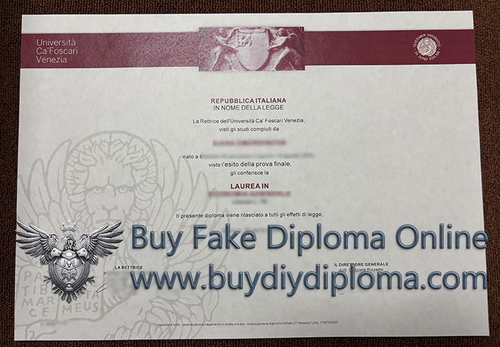 Università Ca' Foscari Venezia Laurea