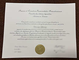 Universitas Princetoniensis Credentials sample