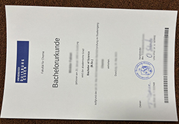 Universität Duisburg-Essen urkunde sample