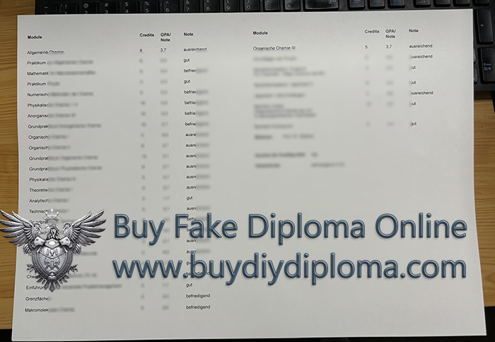 University of Duisburg-Essen Zeugnis Back Course