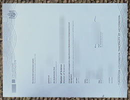 University of Liechtenstein Qualification sample