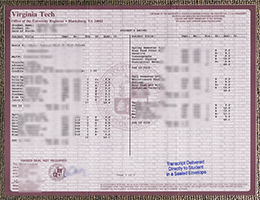 Virginia Tech Academic record