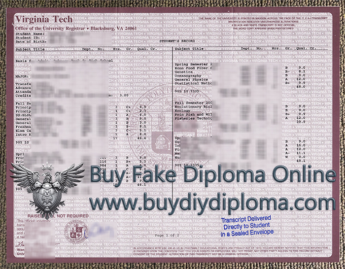 Virginia Tech Academic record Virginia Tech Academic record