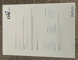 Christelijke Hogeschool Ede Qualification sample