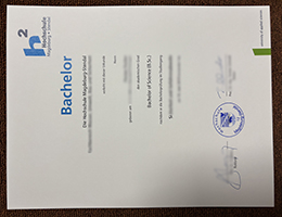 Hochschule Magdeburg-Stendal Urkunde sample