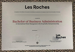 Les Roches Qualification Credentials