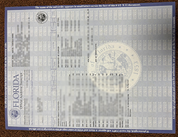 UF Academic record, Get a University of Florida Academic record