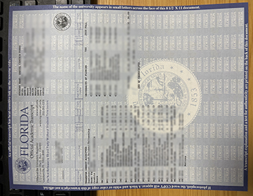 University Of Florida Academic record