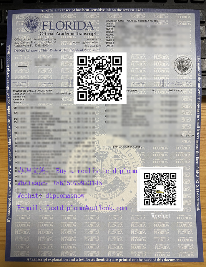 University Of Florida Academic record