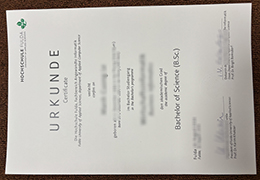 Hochschule Fulda Urkunde sample