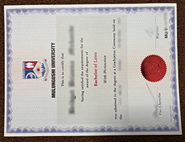 Mulungushi University Credentials sample