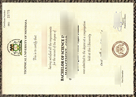 Technical University of Mombasa Credentials sample