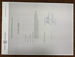 Tilburg University Credentials