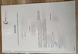 Capabel Hogeschool Credentials certificateCapabel Hogeschool Credentials Credentials