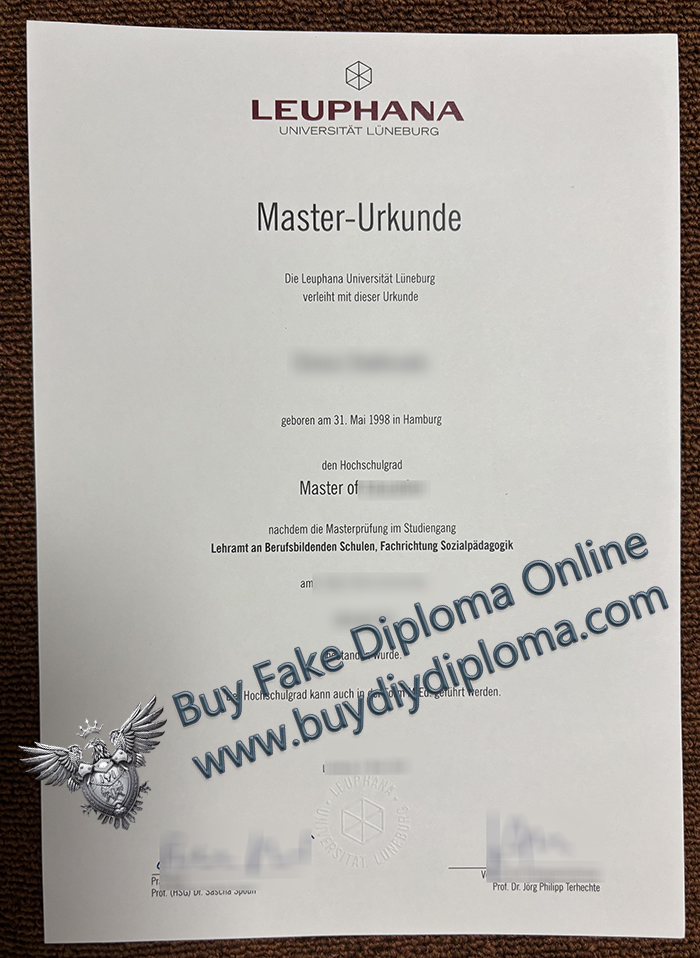 Leuphana Universität Lüneburg Urkunde