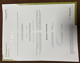 De Haagse Hogeschool Getuigschrift