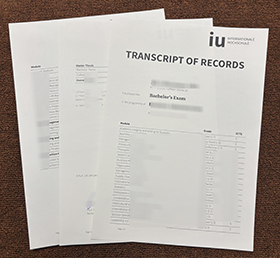 IU Internationale Hochschule Academic record of records sampleIU Internationale Hochschule Academic record of records sample