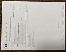 University of Ballarat Academic record