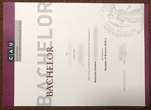 Christian-Albrechts-Universität zu Kiel Urkunde sample