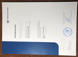 Fernuniversität in Hagen Urkunde sample