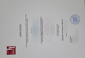 Hochschule Landshut Urkunde sample