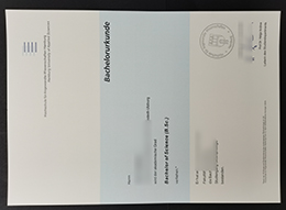 Hochschule für Angewandte Wissenschaften Hamburg Urkunde sample