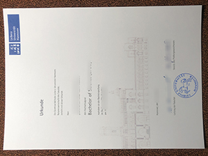 Leibniz Universität Hannover Urkunde sample