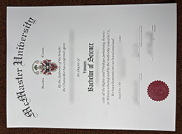 Mcmaster University degree sample