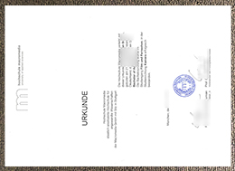 hochschule macromedia Urkunde sample