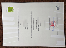 Anton Bruckner Privatuniversität degree certificate