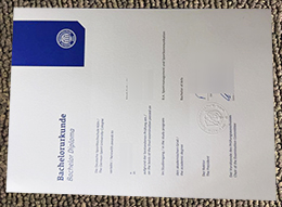 Deutsche Sporthochschule Köln Urkunde sample