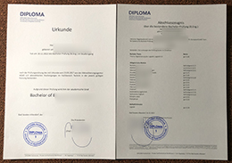 Diploma Hochschule Urkunde and Abschlusszeugnis sample