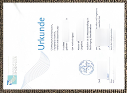 Hochschule EmdenLeer Urkunde sample