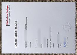 Hochschule Esslingen Urkunde