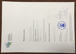 Hochschule Kaiserslautern Urkunde sample